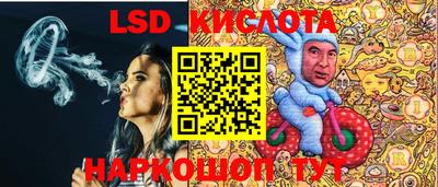 стаф Будённовск