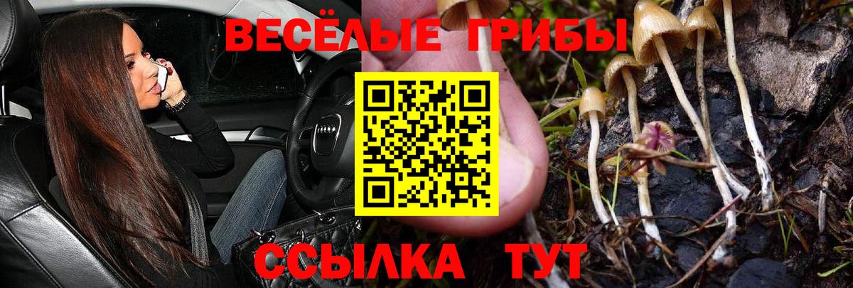 Псилоцибиновые грибы Psilocybine cubensis  Вход с VPN  наркотики  Медногорск 